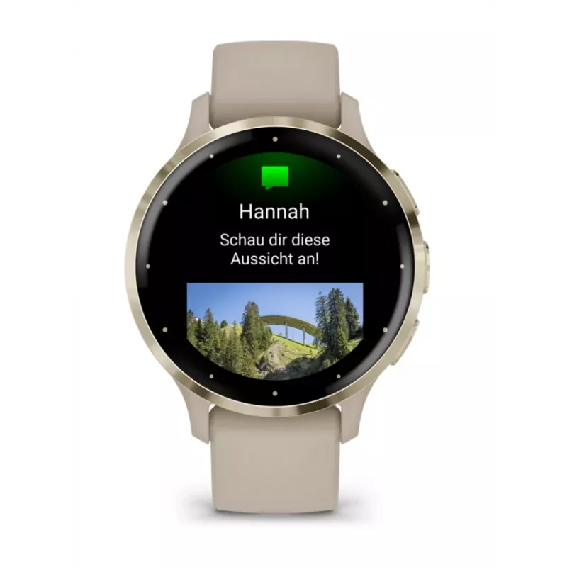 GARMIN INTERNATIONAL Venu 3S - 41mm - viedpulkstenis ar siksnu - franču - pelēks