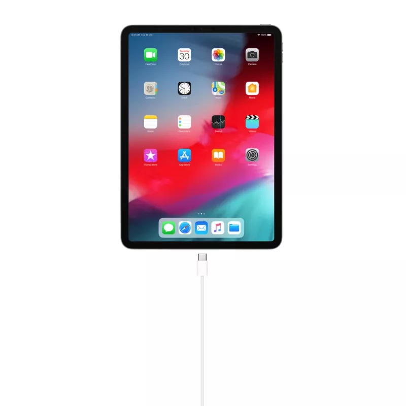 USB kabelis Apple MM093ZM/A 1m USB C balts