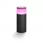 Philips Hue balta and colour ambience Calla Outdoor pedestal