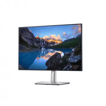 DELL UltraSharp U2421E datora monitors 61,2 cm (24,1 colli) 1920 x 1200 pikseļi WUXGA LCD Sudraba