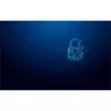 USB zibatmiņa Kingston 32GB USB Type-A IronKey Vault Privacy 50