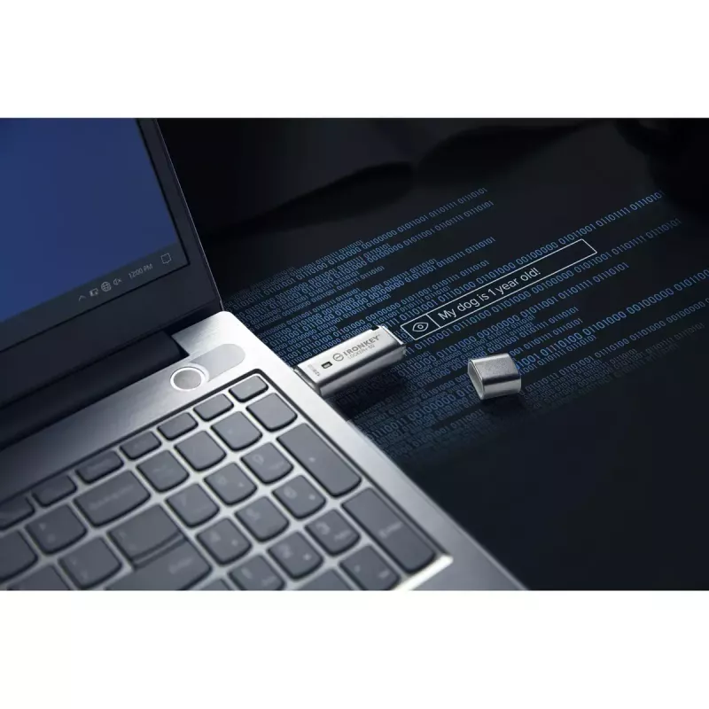 Kingston Technology IronKey 128GB IKLP50 AES USB, ar 256 bitu šifrēšanu