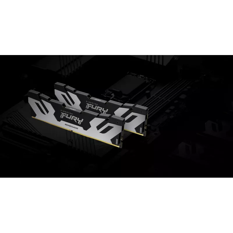 Kingston Technology FURY 48GB 6400MT/s DDR5 CL32 DIMM Renegade Silver XMP