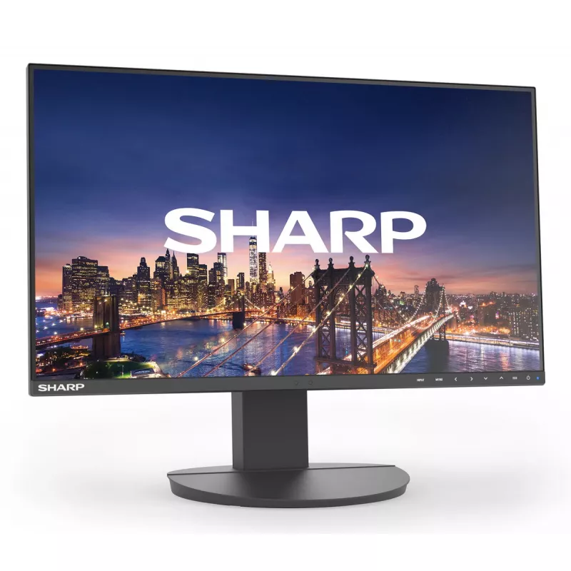 Sharp MultiSync EA242F datora monitors 24 collu Full HD 1920 x 1080 LCD Melns