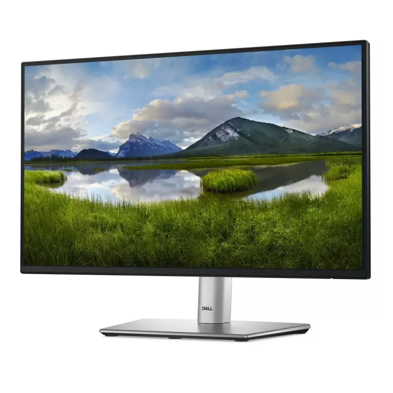 DELL P Series P2225H datora monitors 54,6 cm (21,5 collu) 1920 x 1080 pikseļi Full HD LCD Melns, Sudrabs