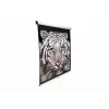 Projection Screen Elite Screens M113UWS1