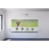 Epson EB-1485Fi īpaši īsa fokusa projektors 5000 ANSI lūmenu 3LCD 1080p (1920x1080) Balts