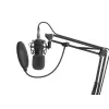 GENESIS Radium 300 XLR Melns Studio mikrofons