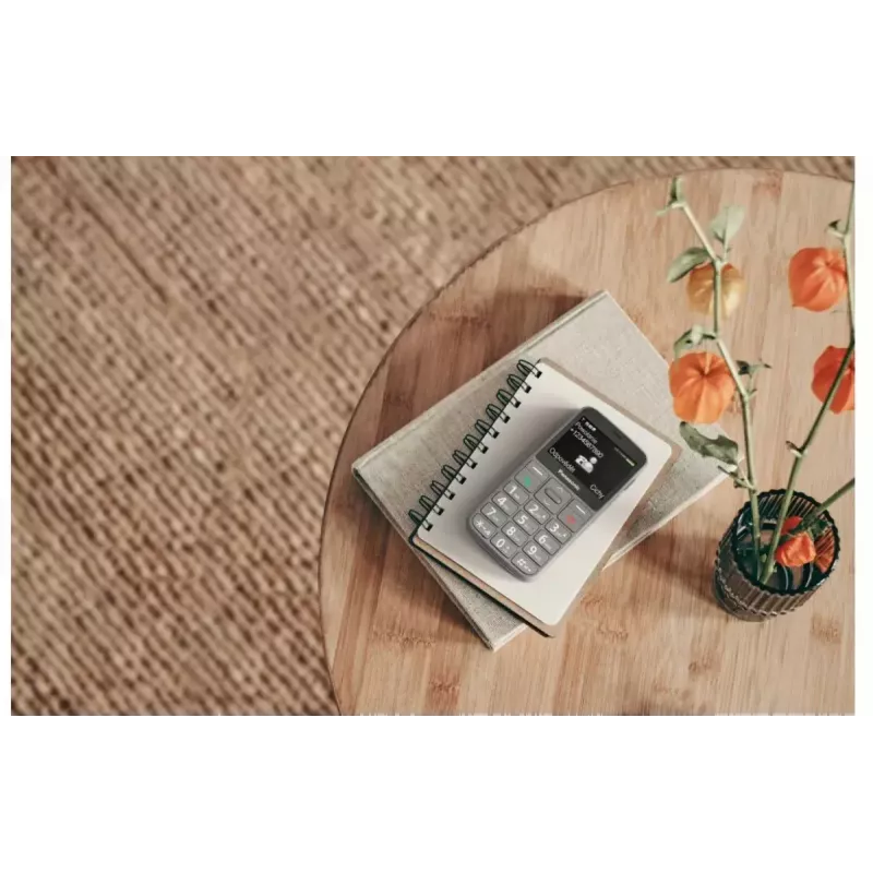 Mobilais tālrunis Panasonic KX-TU160 2,4 collas