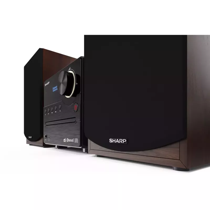 Sharp XL-B517D Mājas audio mikro sistēma 45 W Brūna