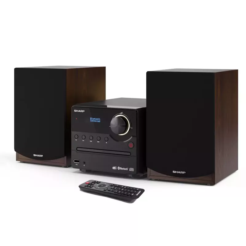 Sharp XL-B517D Mājas audio mikro sistēma 45 W Brūna