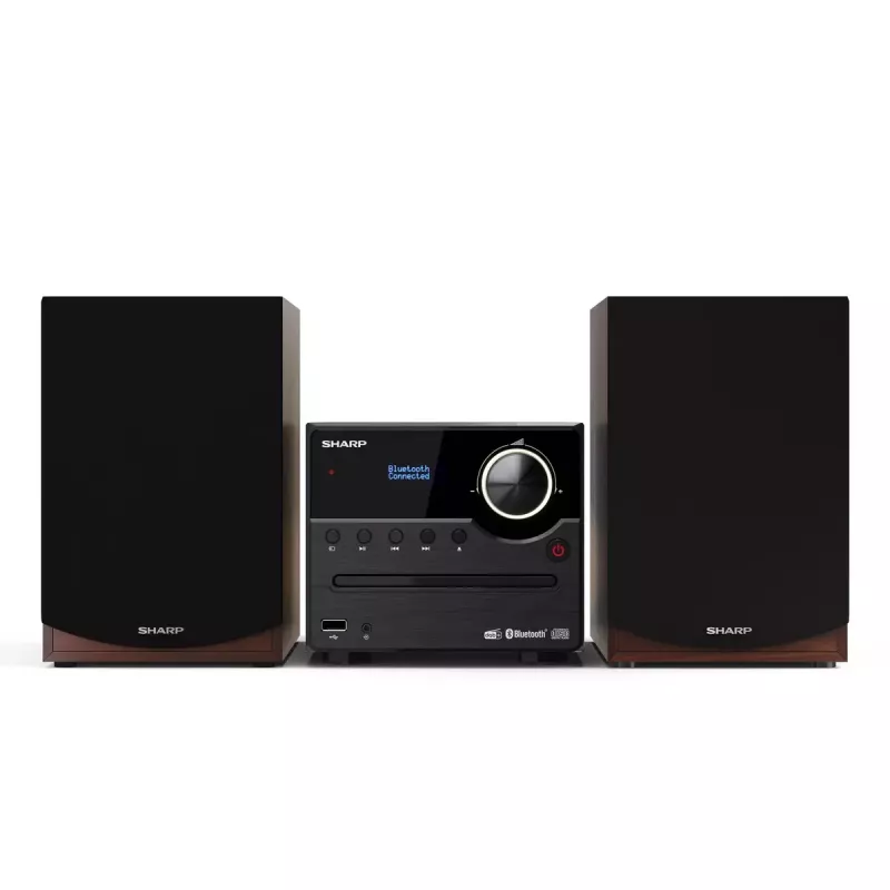 Sharp XL-B517D Mājas audio mikro sistēma 45 W Brūna