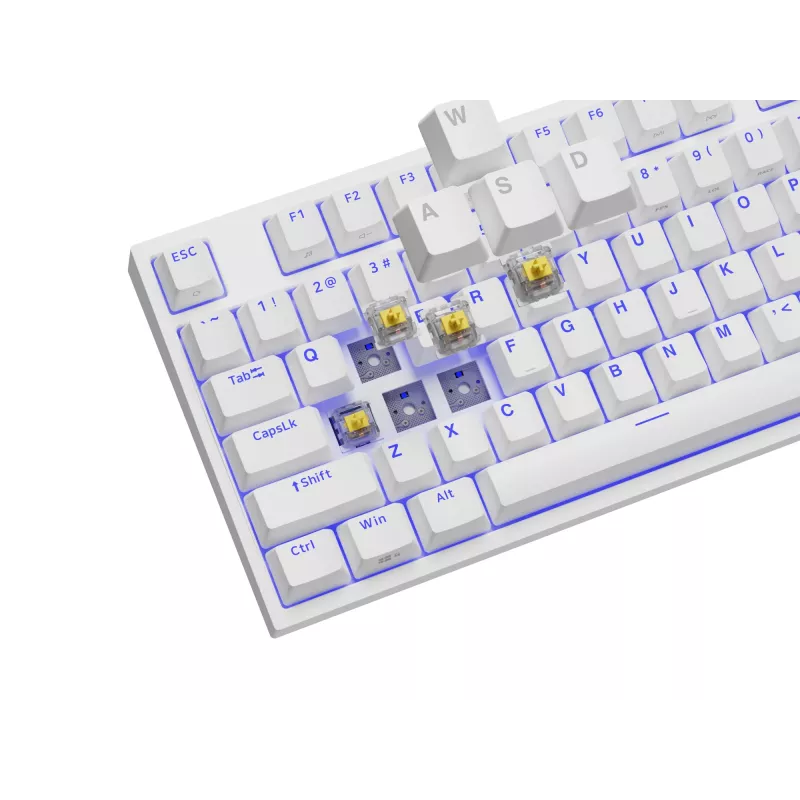 GENESIS Thor 404 TKL tastatūra Gaming USB QWERTY US International White