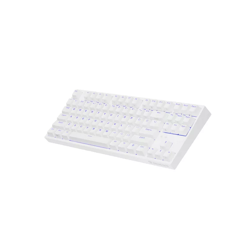 GENESIS Thor 404 TKL tastatūra Gaming USB QWERTY US International White