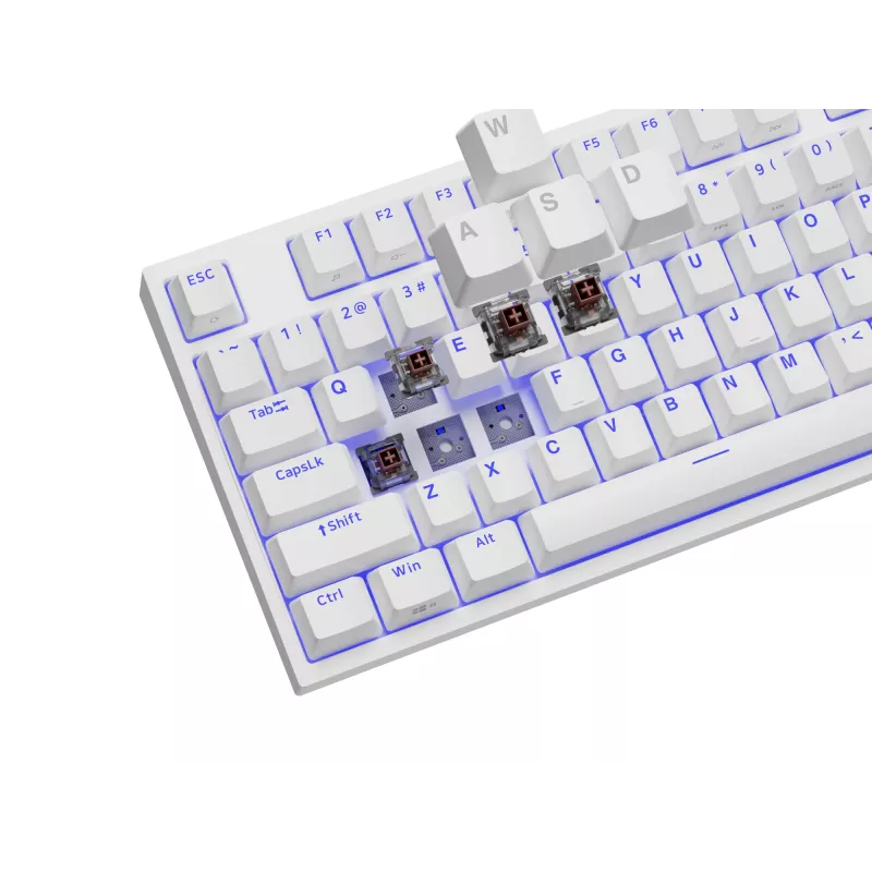 GENESIS Thor 404 TKL tastatūra Gaming USB QWERTY US International White
