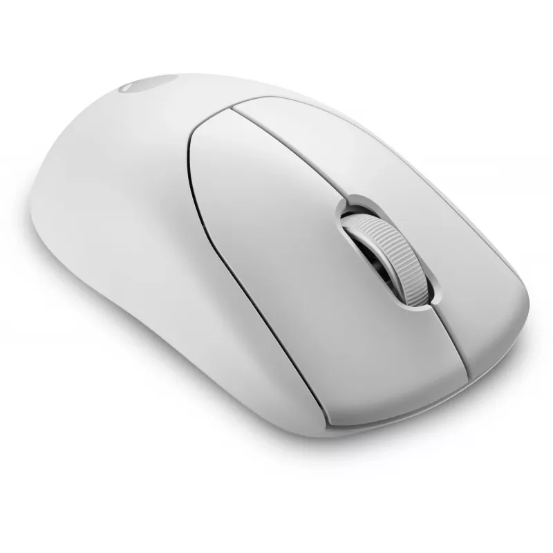Alienware Pro Wireless Gaming mouse Ambidextrous RF Wireless + USB Type-C Optical 26000 DPI