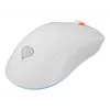 Pele GENESIS Zircon XIII Gaming Ambidextrous RF Wireless + USB Type-C Optical 26000 DPI