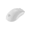 GENESIS Zircon 500 pele Gaming Labā roka RF Bezvadu + Bluetooth + USB Type-C Optiskā 10000 DPI