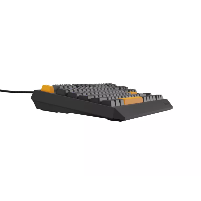 GENESIS Thor 230 TKL tastatūra Gaming USB + RF Wireless + Bluetooth QWERTY Melna, Pelēka, Oranža