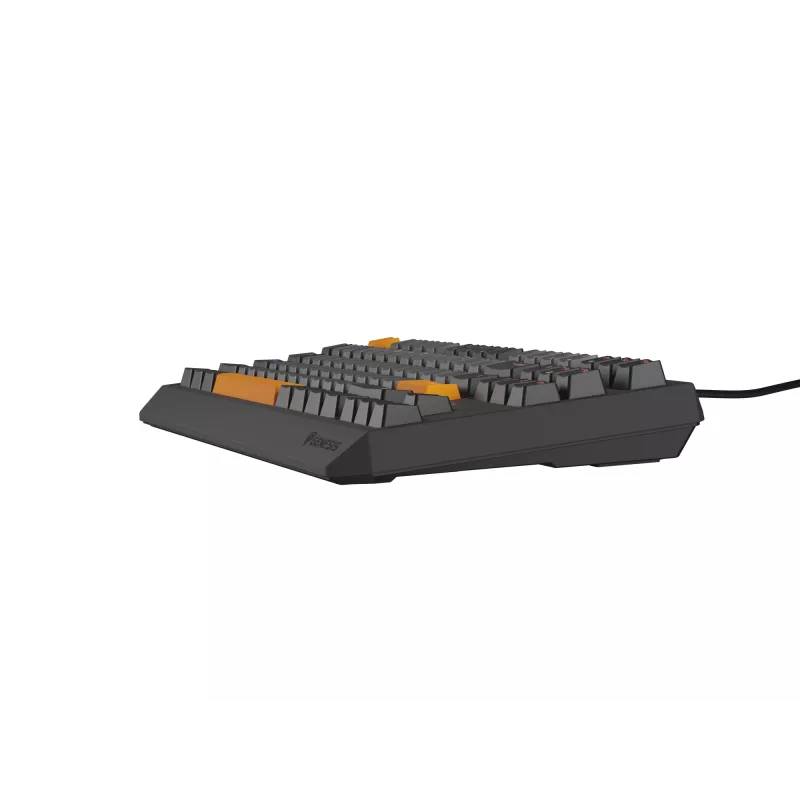 GENESIS Thor 230 TKL tastatūra Gaming USB + RF Wireless + Bluetooth QWERTY Melna, Pelēka, Oranža