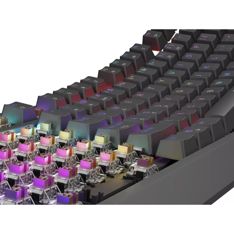 Mehāniskā spēļu tastatūra Genesis Thor 230 TKL — Tenkeyless, US QWERTY, Outemu Brown slēdži, RGB, 1000 Hz, USB