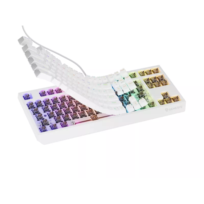 GENESIS Thor 230 TKL tastatūra Gaming USB + RF Wireless + Bluetooth QWERTY Balta