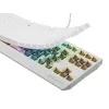 GENESIS Thor 230 TKL tastatūra Gaming USB + RF Wireless + Bluetooth QWERTY Balta