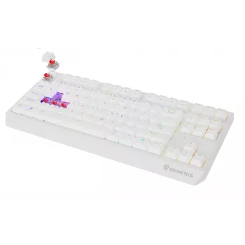 Bezvadu spēļu tastatūra GENESIS Thor 230 TKL — USB, RF Wireless, Bluetooth, QWERTY, Balta