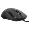 Targus AMU81AMGL pele Office Ambidextrous USB Type-A Optical 1000 DPI