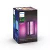 Philips Hue balta and colour ambience Impress āra sienas gaismeklis