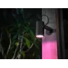 Philips Hue balta and colour ambience Lily Outdoor spot light