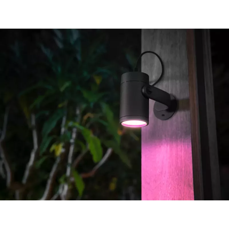 Philips Hue balta and colour ambience Lily Outdoor spot light