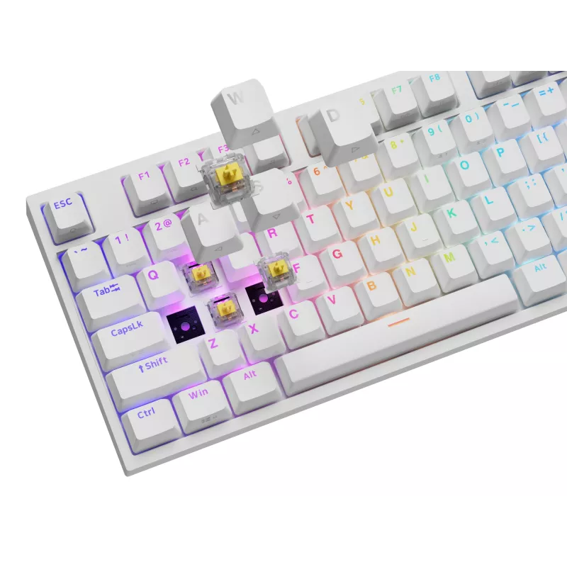 Mehāniskā tastatūra GENESIS THOR 404, pilna izmēra USB, QWERTY angļu valoda, RGB fona apgaismojums, balta