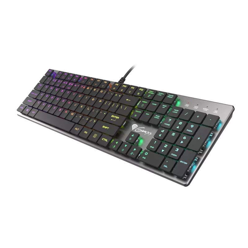 GENESIS Thor 420 RGB tastatūra Gaming USB QWERTY US International Sudraba