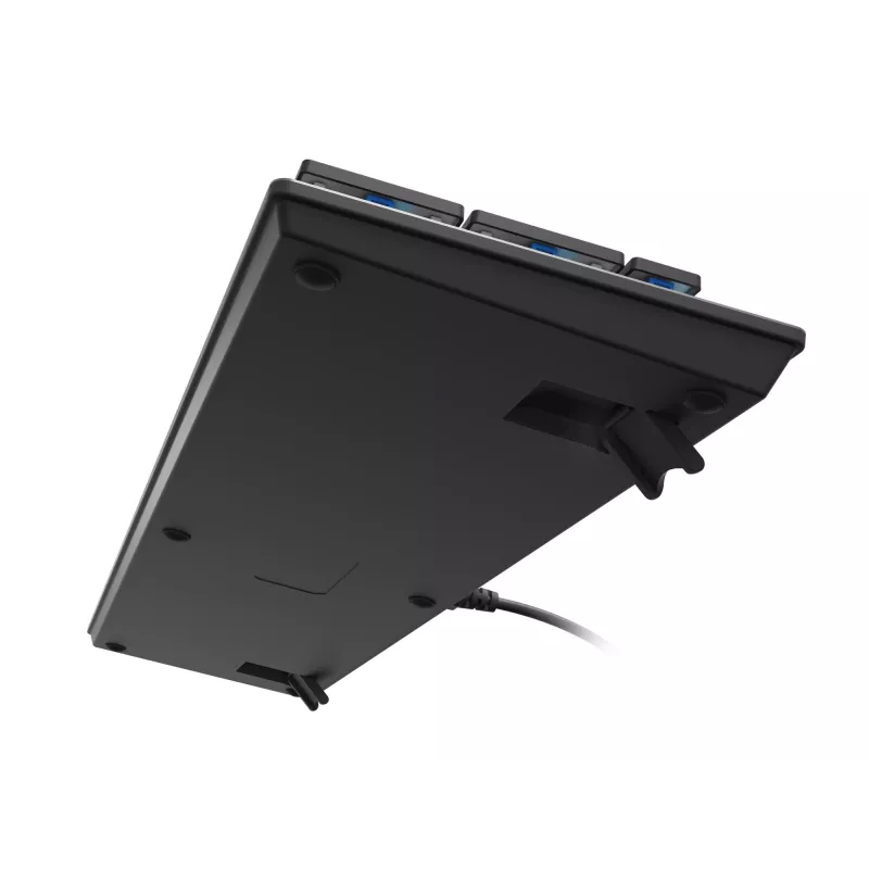 GENESIS Thor 420 RGB tastatūra Gaming USB QWERTY US International Sudraba