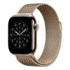APPLE 42mm zelta Milanese cilpa