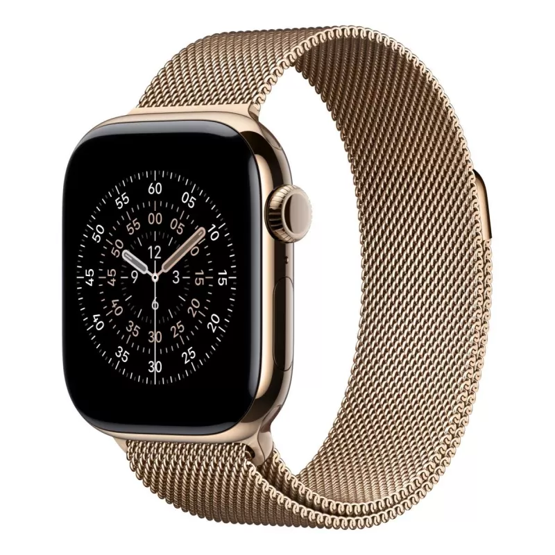 APPLE 42mm zelta Milanese cilpa