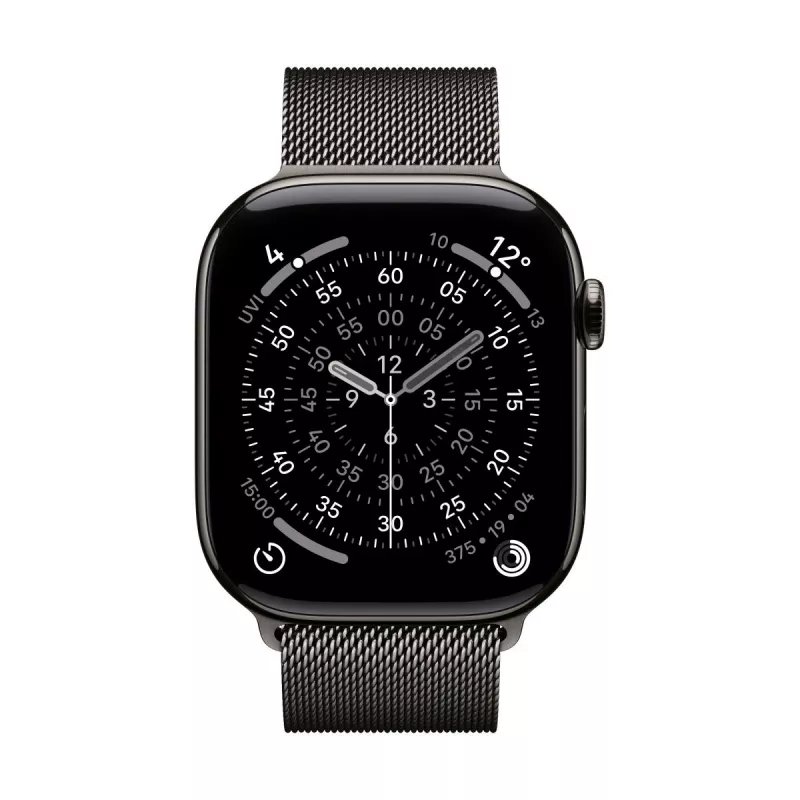 Siksniņa Apple MGJ74ZM/A viedierīču piederumi šīfera krāsas nerūsējošais tērauds 46mm