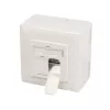 Kontaktligzda 2 x RJ-45 LogiLink NP0124