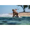 Austiņas Shokz OpenSwim Pro — atvērta tipa kaulu vadīšanas bezvadu austiņas, IP68 ūdensizturība, Bluetooth 5.4, 32 GB, 9 h atskaņošana, pelēkas