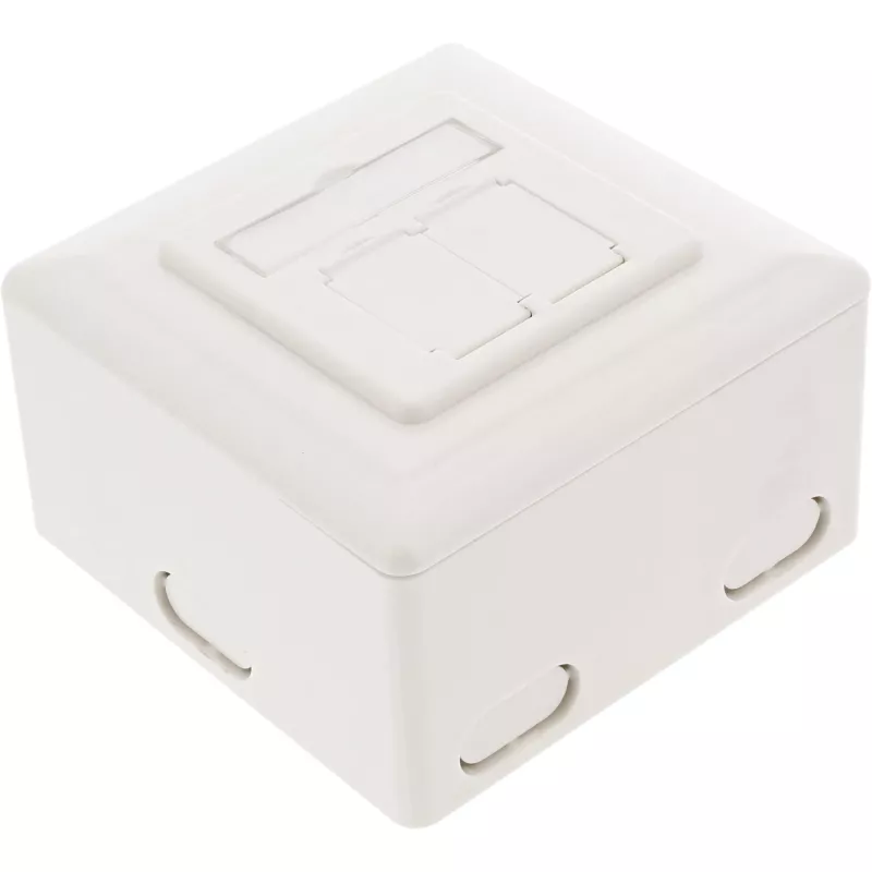 Sienas kontaktligzdas kārba InLine Cat.6 2x RJ45 horizontāla — uz virsmas vai padziļinājumā