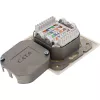 Sienas kontaktligzdas kārba InLine Cat.6 2x RJ45 horizontāla — uz virsmas vai padziļinājumā