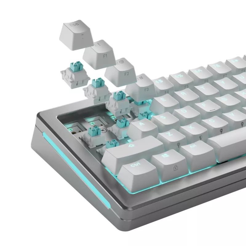 GLORIOUS Lynx HE tastatūras slēdži — 36 gabalu polikarbonāta ciāna caurspīdīgs komplekts, saderīgi ar GMMK 3 HE