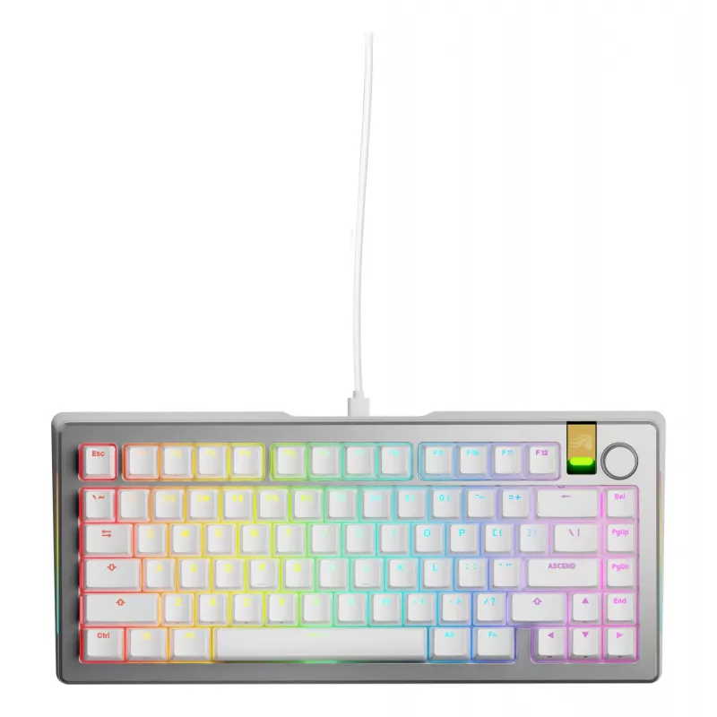 Mehāniskā spēļu tastatūra GLORIOUS GMMK 3 PRO HE 75% salikta vadu USB QWERTY sudraba