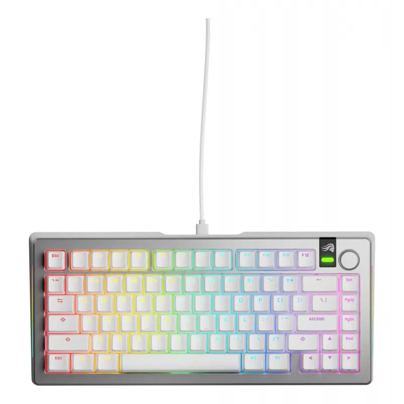Mehāniskā spēļu tastatūra GLORIOUS GMMK 3 PRO 75% vadu USB QWERTY RGB sudraba (ASV)