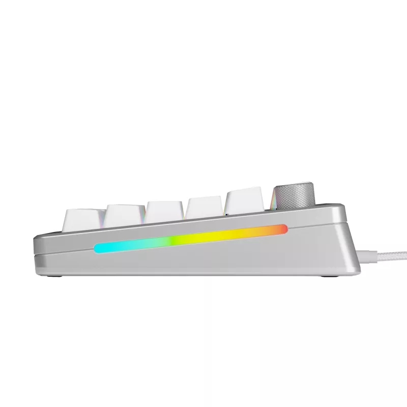 Mehāniskā spēļu tastatūra GLORIOUS GMMK 3 PRO 75% vadu USB QWERTY RGB sudraba (ASV)