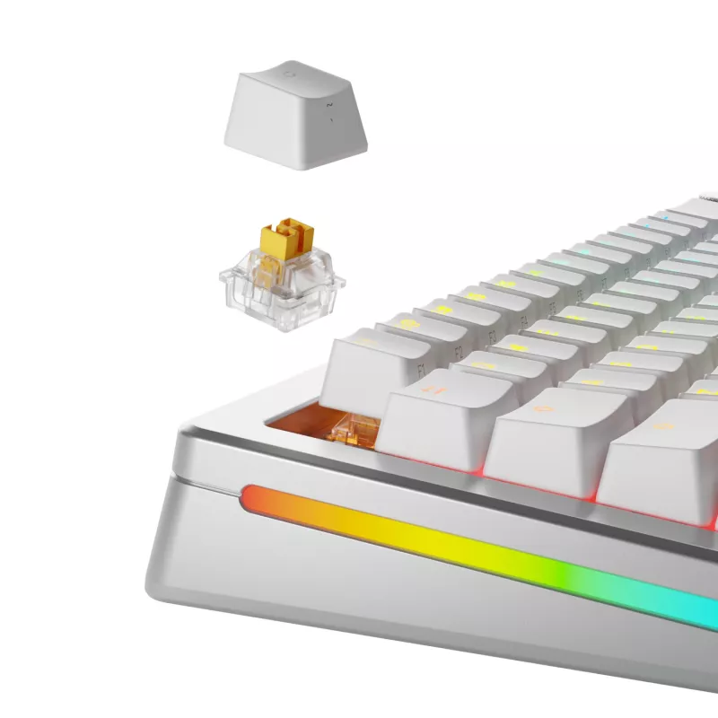 Glorious Gaming Glorious Panda HE slēdži - 36 gab., tastatūras slēdži, polikarbonāts (PC), caurspīdīgi, dzelteni