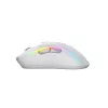 Glorious Gaming Glorious Model D 2 Wireless — matēta balta, labās rokas, RF bezvadu, 19000 DPI, balta