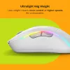 Glorious Gaming Glorious Model D 2 Wireless — matēta balta, labās rokas, RF bezvadu, 19000 DPI, balta