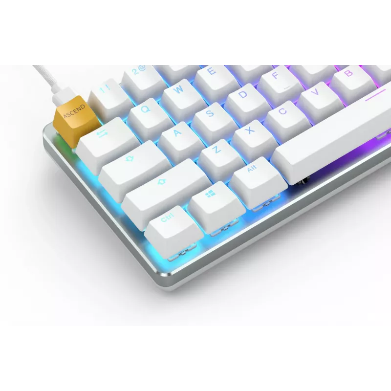 Glorious Gaming GMMK tastatūra USB QWERTY US International sudraba, balta